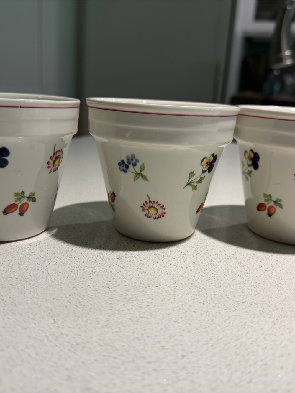 Villeroy & Boch White Floral Ceramic Miniature Flower Pot - Set of 3